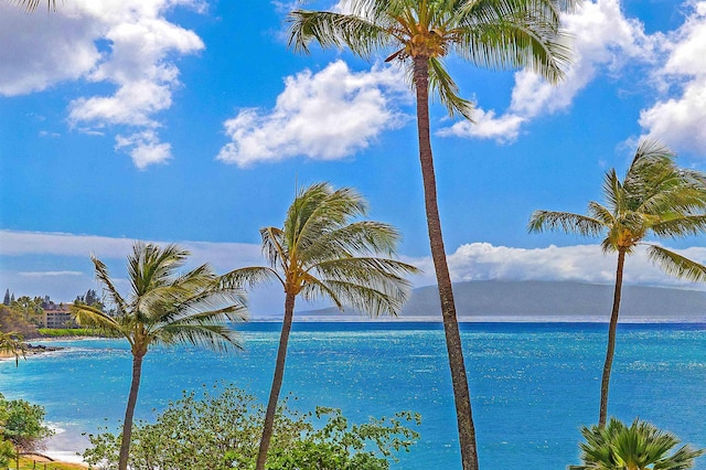 property view of water featuring a beach view