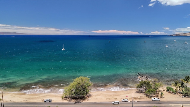 property view of water with a beach view