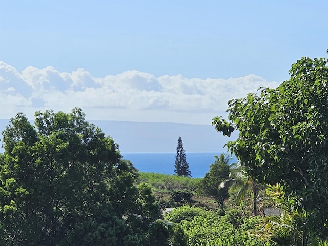 15 Kiohuohu Ln Unit 24-2, Lahaina, HI 96761 - water view
