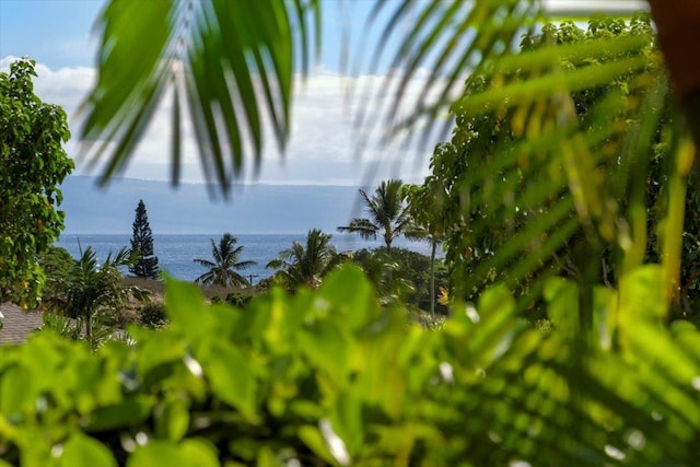 15 Kiohuohu Ln Unit 24-2, Lahaina, HI 96761 - view of exterior details