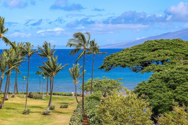 3445 Lower Honoapiilani Rd Unit 530, Lahaina, HI 96761 - water view