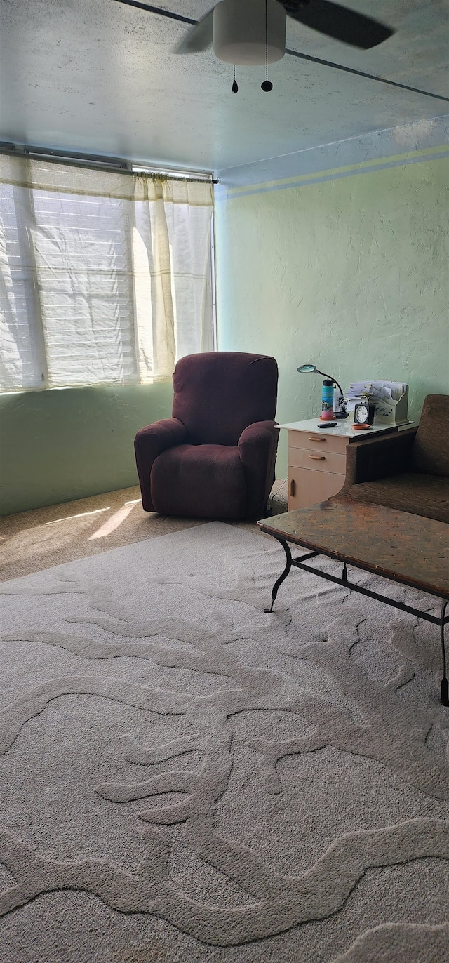 office area featuring carpet and a textured ceiling