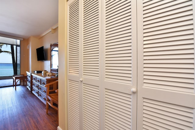 corridor with a water view and dark hardwood / wood-style floors