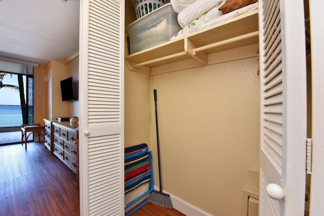 view of closet