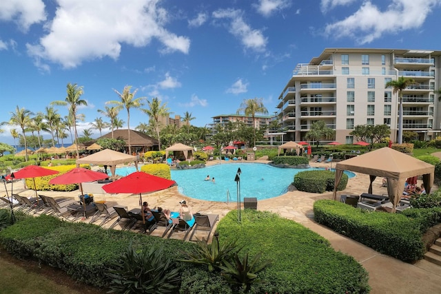 view of pool featuring a patio