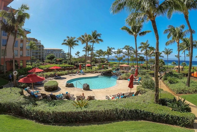 view of pool featuring a patio area