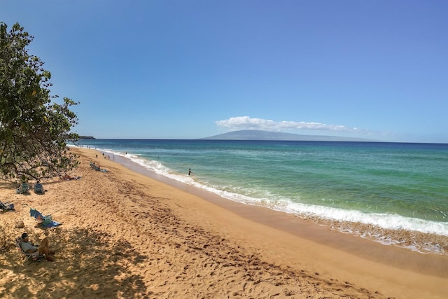 property view of water featuring a beach view