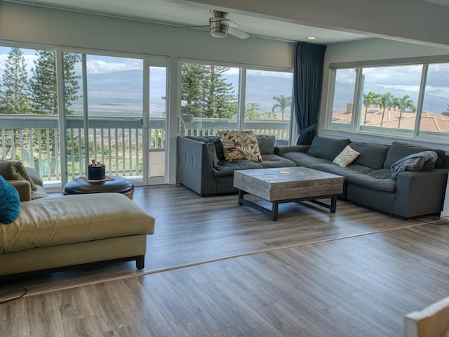 living room with wood finished floors and a ceiling fan