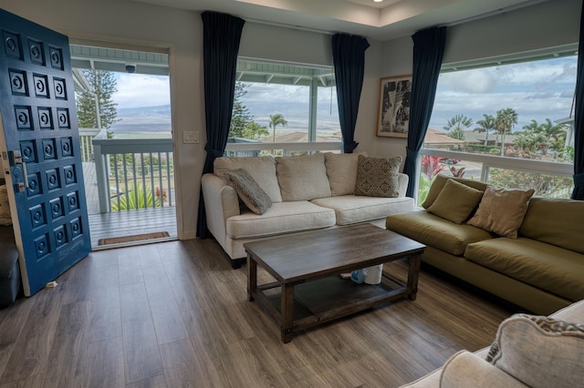 living room with wood finished floors
