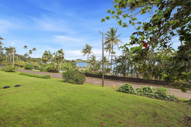 view of home's community with a water view and a yard