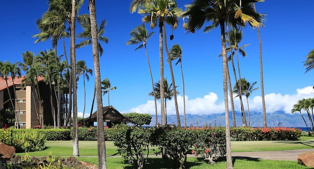 view of property's community with a yard