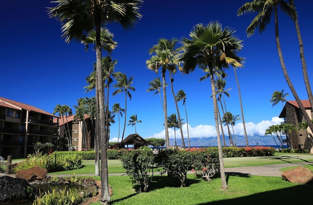 view of property's community featuring a lawn