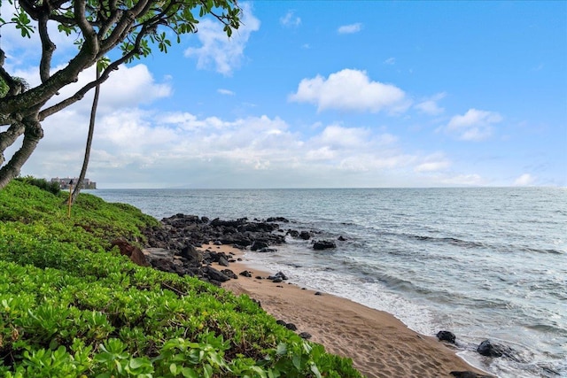 water view with a beach view