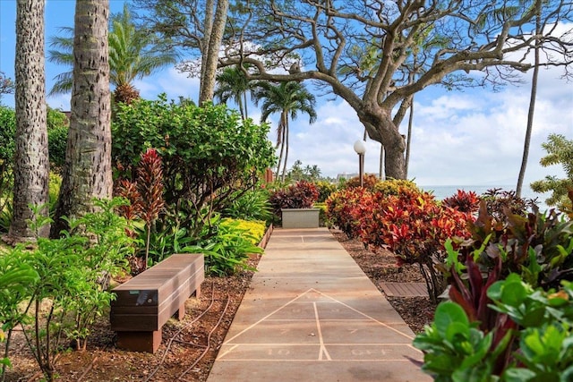 view of home's community with shuffleboard