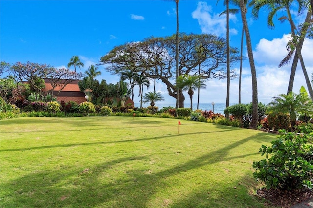 view of yard featuring view of golf course