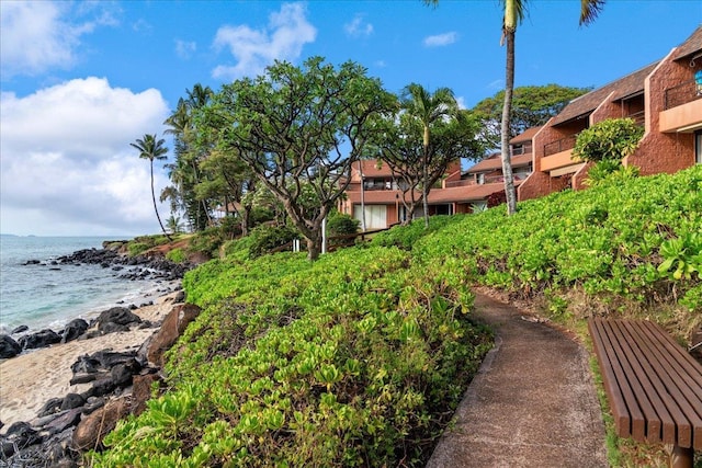 view of yard with a beach view and a water view