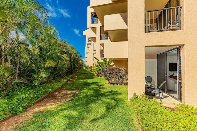 view of yard featuring a patio area