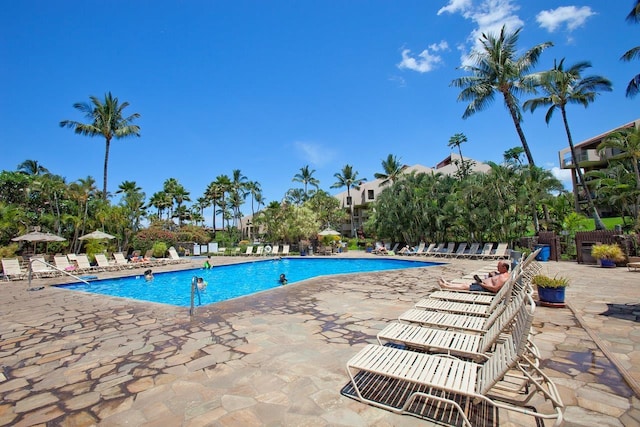 view of swimming pool with a patio