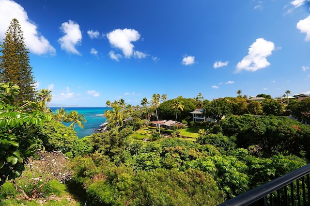 property view of water