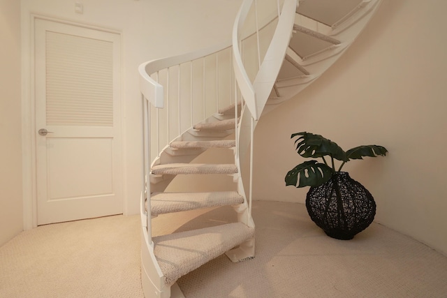 stairs with carpet floors