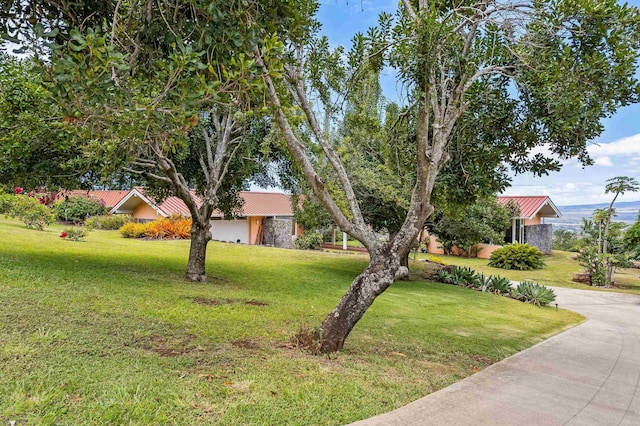 view of front of house with a front lawn