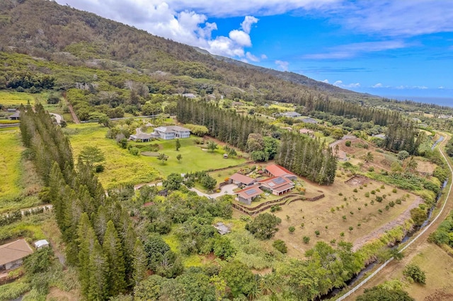 bird's eye view featuring a mountain view