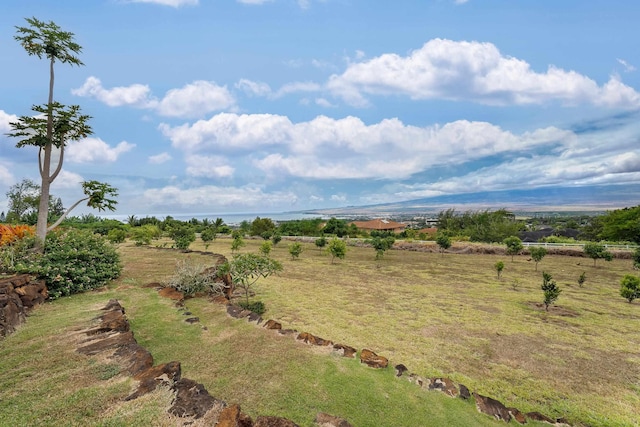 drone / aerial view featuring a rural view