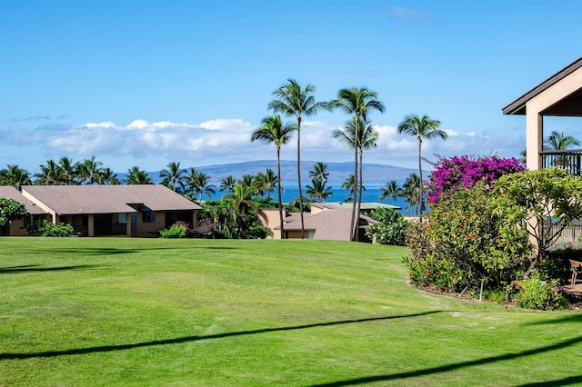 view of yard with a mountain view