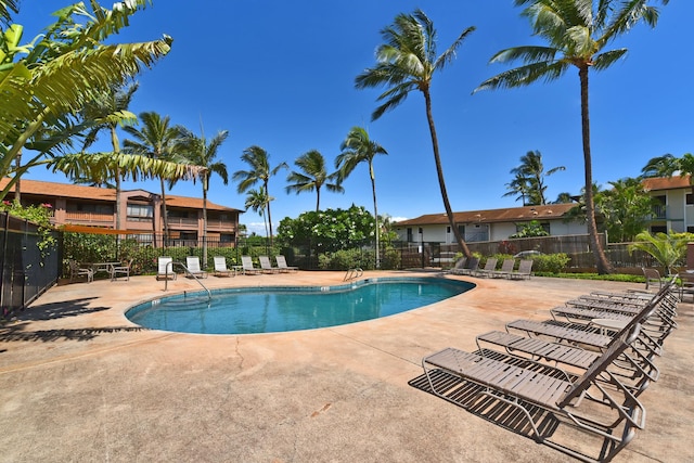 view of swimming pool with a patio