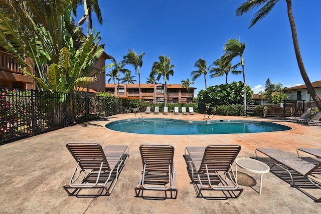 view of pool featuring a patio area