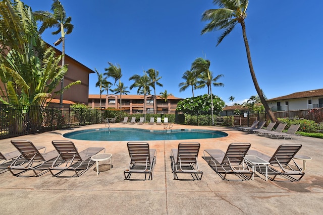 view of pool featuring a patio