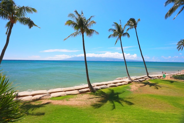 property view of water