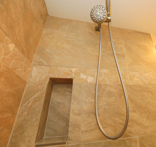 interior details with walk in shower