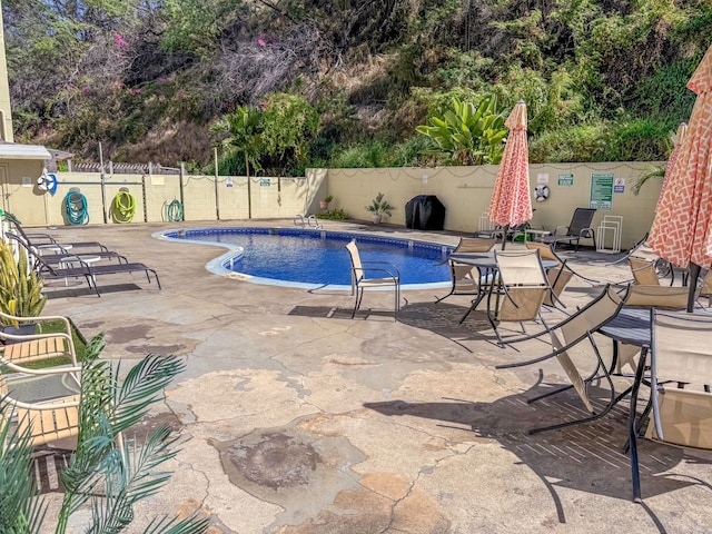 view of pool with a patio