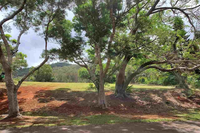 240 Kaunaoa Dr, Lanai City HI, 96763 land for sale