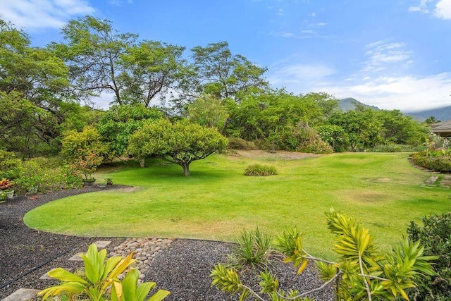 61 Huluhulu Pl, Kahului, HI 96732 - view of grassy yard