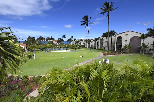 view of community featuring a lawn