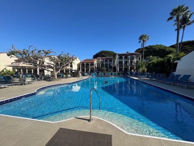 view of pool featuring a patio