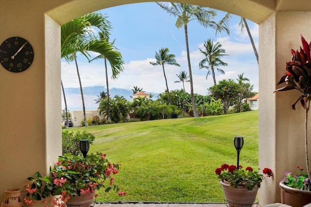 3150 Wailea Alanui Dr Unit 3007, Kihei, HI 96753 - view of grassy yard
