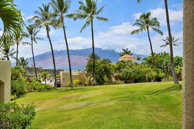 3150 Wailea Alanui Dr Unit 3007, Kihei, HI 96753 - view of grassy yard featuring a mountain view