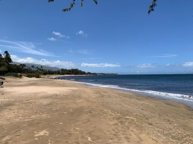 140 Uwapo Rd Unit 2-202, Kihei, HI 96753 - water view with nearby beach