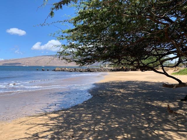 140 Uwapo Rd Unit 2-202, Kihei, HI 96753 - water view featuring local beach