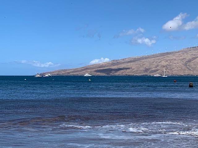 140 Uwapo Rd Unit 2-202, Kihei, HI 96753 - water view