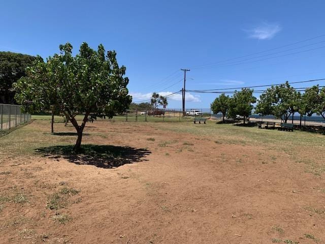 140 Uwapo Rd Unit 2-202, Kihei, HI 96753 - view of yard