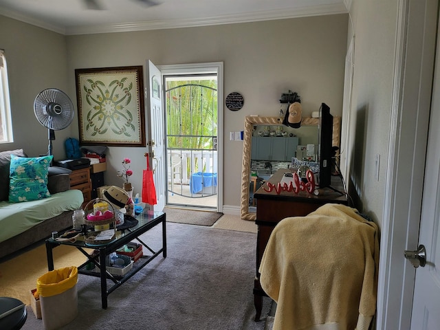 2170 Kahookele St, Wailuku, HI 96793 - carpeted living room featuring crown molding and baseboards