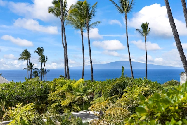 property view of water with a mountain view