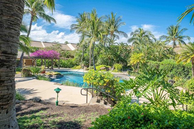 view of pool featuring a patio