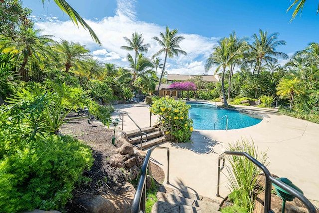 view of pool with a patio