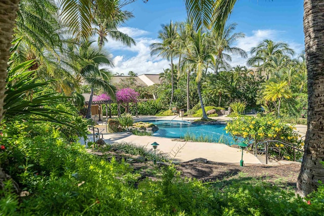 view of pool with a patio