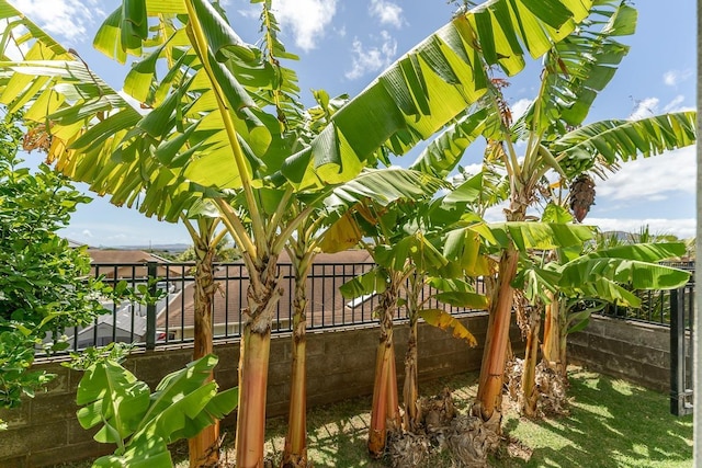 35 Emoloa Pl, Wailuku, HI 96793 - view of yard